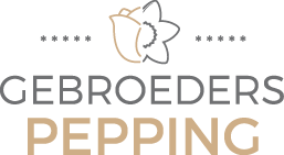 Gebroeders Pepping