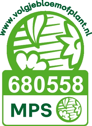 Vignet MPS-ABC NL-680558